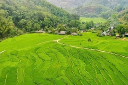 Bảo vệ diện tích lúa bậc thang&nbsp;gắn với phát triển du lịch