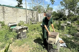 Cựu chiến binh giúp nhau&nbsp;làm kinh tế giỏi