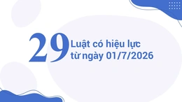 [Infographics] 29 Luật có hiệu lực từ ngày 01/7/2026