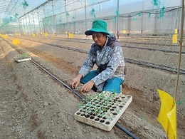 Nông dân trẻ dám nghĩ, dám làm