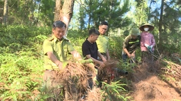 Cảnh báo cháy rừng tại 99 xã, phường