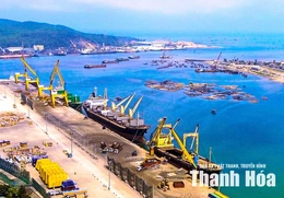 Khai thác hiệu quả lợi thế logistics và dịch vụ cảng