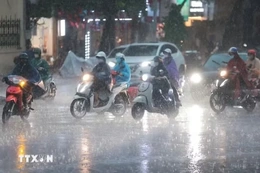 Mùa mưa bão năm 2026: Dự báo xảy ra khoảng 16-19 đợt mưa lớn diện rộng trên cả nước