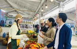 Hệ sinh thái sản phẩm OCOP xứ Thanh - liên kết để vươn xa
