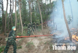 Dồn sức dập tắt hoàn toàn&nbsp;đám cháy rừng tại phường Hải Bình