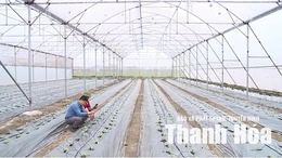 Công nghệ nâng tầm giá trị nông sản