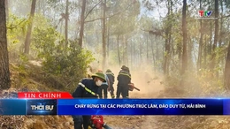 Bản tin Thời sự tối 24/6/2026:&nbsp;Cháy rừng tại các phường Trúc Lâm, Đào Duy Từ, Hải Bình
