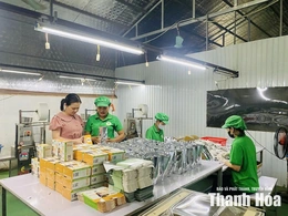 Xây dựng sản phẩm OCOP để thúc đẩy kinh tế tập thể
