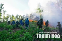 Quyết liệt triển khai các biện pháp cấp bách phòng cháy, chữa cháy rừng