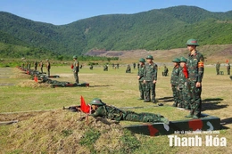 Trưởng thành từ thao trường