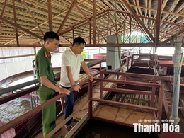 Siết chặt quản lý môi trường các cơ sở lâm sản ở xã Hồi Xuân