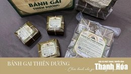 [REVIEW OCOP] Bánh gai Thiên Dương – Chiếc bánh nhỏ gói cả hương vị quê nhà