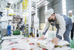 Chấn chỉnh tình trạng doanh nghiệp đăng ký thành lập nhưng không hoạt động