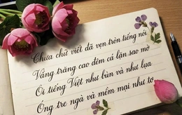 Tiếng Việt trong nhịp đập thời đại