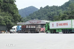 Cục Hải quan yêu cầu thông quan nhanh hàng nông sản xuất khẩu