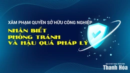 Xâm phạm quyền sở hữu công nghiệp - Nhận biết, phòng tránh và hậu quả pháp lý