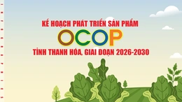 Kế hoạch phát triển sản phẩm OCOP tỉnh Thanh Hóa, giai đoạn 2026-2030