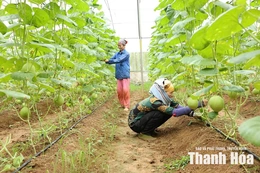 Nông dân chuyển mình từ những bước đi số hóa