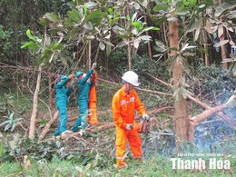 Bảo vệ hành lang an toàn lưới điện&nbsp;trước mùa mưa bão