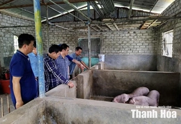 Phát triển và cải tạo giống vật nuôi