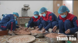 Phát triển sản phẩm OCOP&nbsp;theo chuỗi giá trị