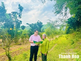 Tạo động lực nâng cao hiệu quả tín dụng chính sách