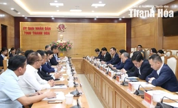 Chủ tịch UBND tỉnh Tô Anh Dũng làm việc với Tập đoàn Sumitomo, Nhật Bản