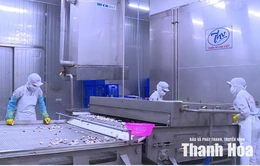 Dòng vốn tập trung các lĩnh vực ưu tiên,&nbsp;hỗ trợ tăng trưởng kinh tế