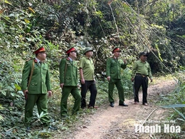 Quyết liệt bảo vệ động vật hoang dã