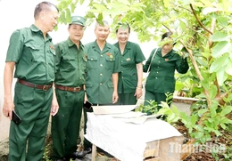 Cựu thanh niên xung phong đam mê nuôi ong
