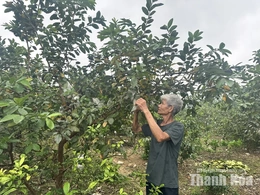 Khơi thông dòng vốn&nbsp;cho phát triển kinh tế địa phương