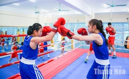 Boxing vươn lên từ chiến lược đầu tư dài hạn