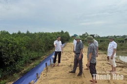 Sẵn sàng phương án ứng phó ngập lụt, đảm bảo an toàn công trình đê điều