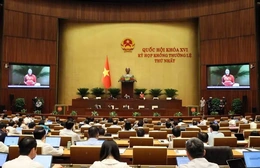 Thông cáo báo chí số 07, Kỳ họp không thường lệ thứ Nhất, Quốc hội khóa XVI