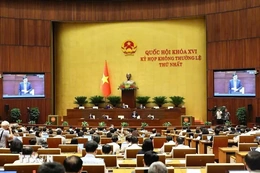 Thông cáo báo chí số 6, Kỳ họp không thường lệ thứ Nhất, Quốc hội khóa XVI