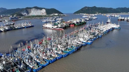 Trung Quốc khẩn trương ứng phó với bão Dolphin
