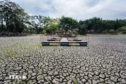 El Nino đẩy thời tiết cực đoan lên mức chưa từng có ở nhiều nơi trên thế giới