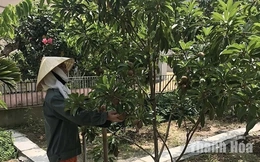 Ứng dụng khoa học - kỹ thuật vào sản xuất