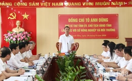 Chủ tịch UBND tỉnh Tô Anh Dũng làm việc với Sở Nông nghiệp và Môi trường