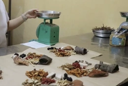 Bộ Y tế siết quản lý y, dược cổ truyền, ngăn hàng giả, thuốc kém chất lượng