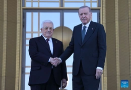 Thổ Nhĩ Kỳ tái khẳng định ủng hộ thành lập Nhà nước Palestine độc lập