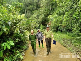 Giữ màu xanh đại ngàn, tạo sinh kế bền vững