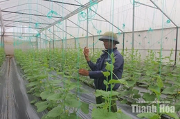 Đồng hành cùng người dân&nbsp;sản xuất sạch, an toàn