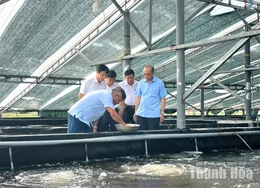 Điểm tựa để hội viên&nbsp;nông dân khởi nghiệp