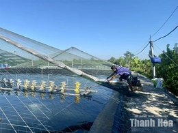 Bảo đảm an toàn diện tích nuôi trồng thủy sản trong mùa mưa bão