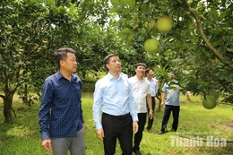 Xã Đồng Lương chú trọng thu hút đầu tư, tăng cường liên kết giữa người dân với doanh nghiệp