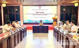 Nâng cao chất lượng giám sát, phản biện xã hội, nắm bắt tâm tư, nguyện vọng của Nhân dân