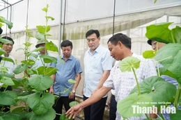 Giám sát tích tụ, tập trung đất đai trong sản xuất nông nghiệp tại xã Thiệu Hóa
