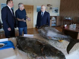 Nga - Nhật gia tăng căng thẳng vì chuyến thăm đảo Iturup  của ông Putin