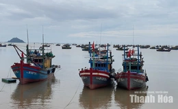 Vạn Lộc khai thác hiệu quả&nbsp;tiềm năng thủy, hải sản